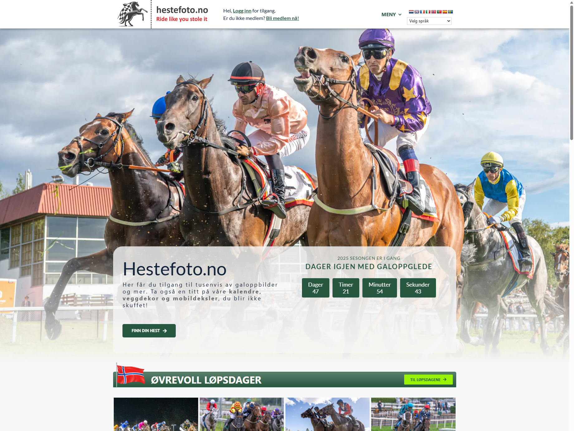 Tre hester i full gallopp under et løp, rytterne i fargerike drakter, med en klar himmel og publikum i bakgrunnen.